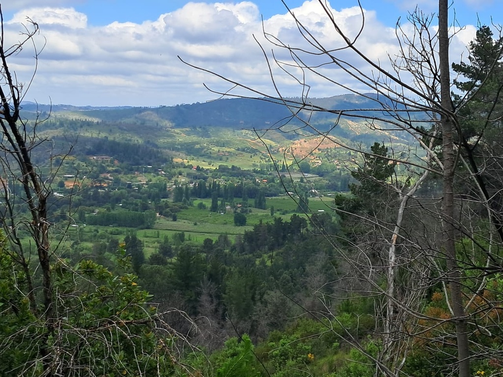 Centro Cultural Kayumanque celebró Día de los Cerros en Quillón